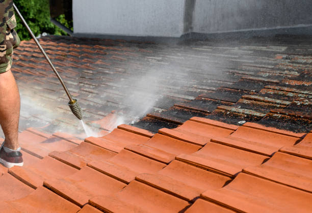  Shoh, IL Pressure Washing Pros