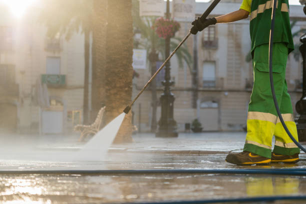 Best Local Pressure Washing Services  in Shoh, IL